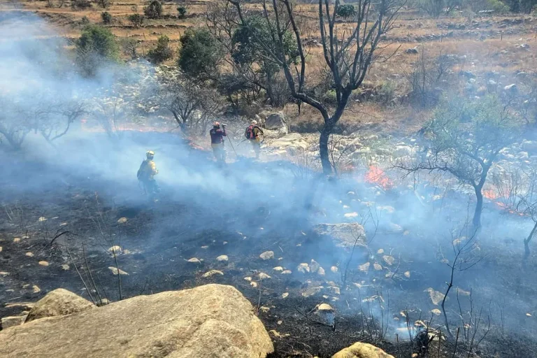 Paz ordena investigar incendios provocados y cae el primer sospechoso en Tarija