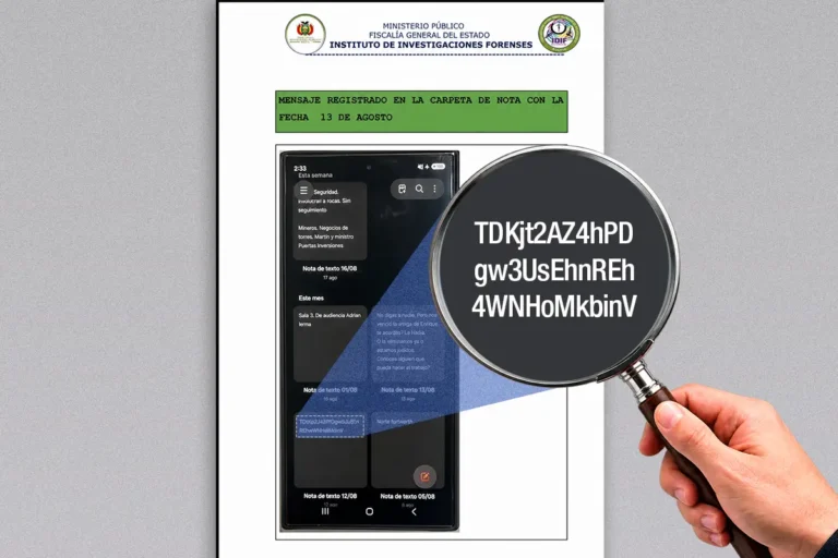 La billetera digital del celular de Cerimedo: qué se puede verificar y qué no