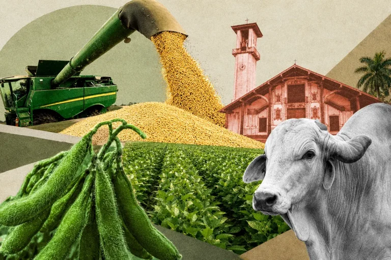 El otro San Ignacio de Velasco: soya récord, ganado y misiones