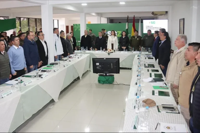 Consejo de Seguridad de Santa Cruz plantea militarizar fronteras y reforzar la lucha contra el crimen organizado