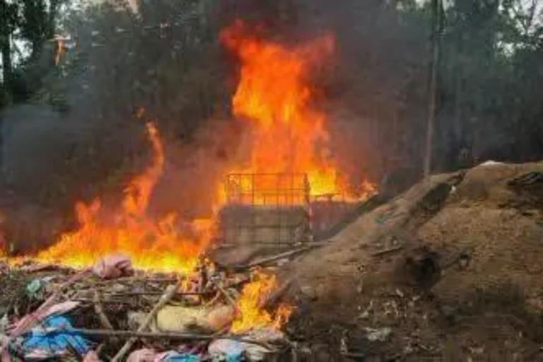 FELCN destruye cuatro fábricas móviles de pasta base en Puerto Villarroel