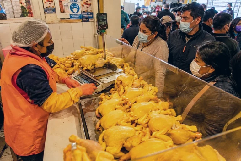 Vendedores de pollo alertan por fuerte incremento del precio mayorista en La Paz