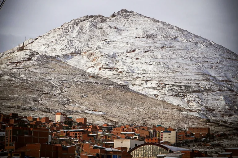 Nevadas afectan a más de 82 mil familias y dañan casi 29 mil hectáreas en Bolivia
