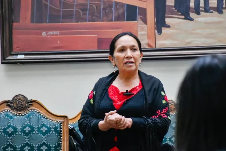 Senadora Yarhui cuestiona falta de estrategia del Gobierno ante ola de violencia en Santa Cruz