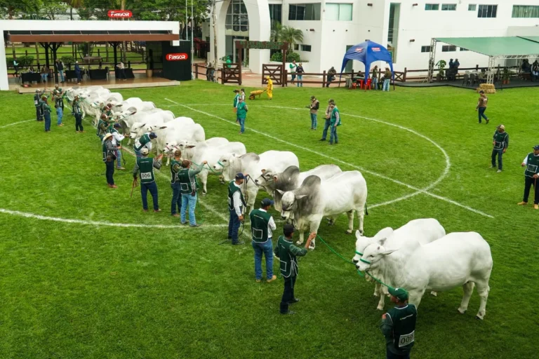 Expocruz: Ventana al comercio exterior y dinamismo económico en Bolivia