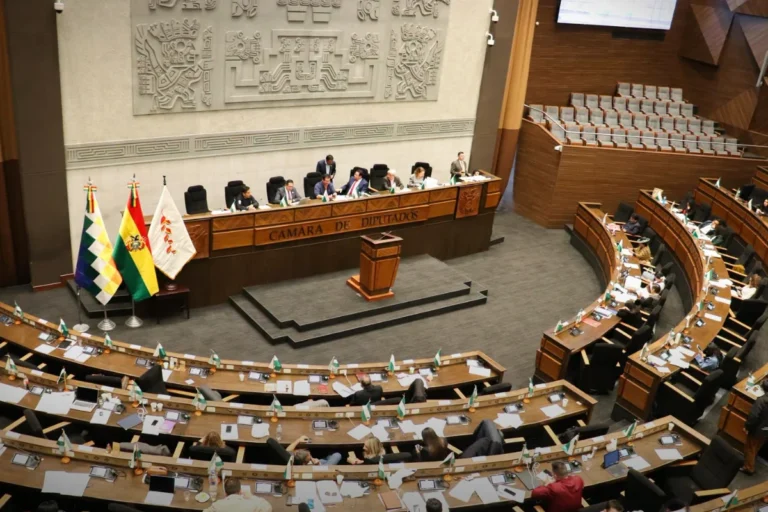Tras el aval de Diputados, el Senado sesiona este viernes para tratar el crédito del FMI