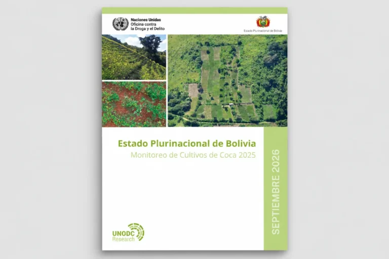 Bolivia cultiva 14.400 hectáreas de coca sobre el límite legal