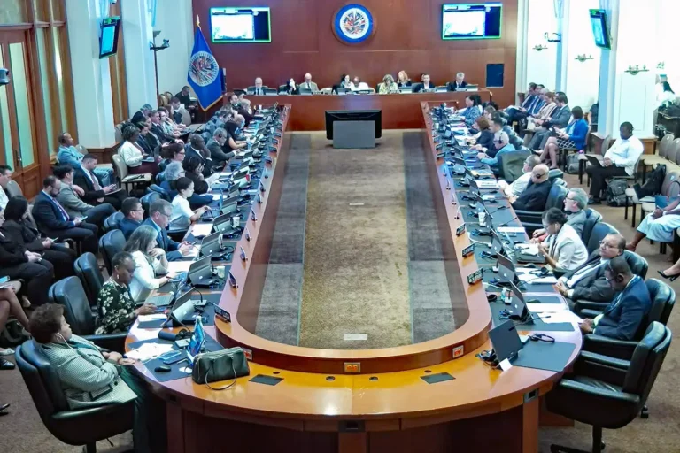 Informe de la OEA: de nueve tareas, tres ya tienen trámite