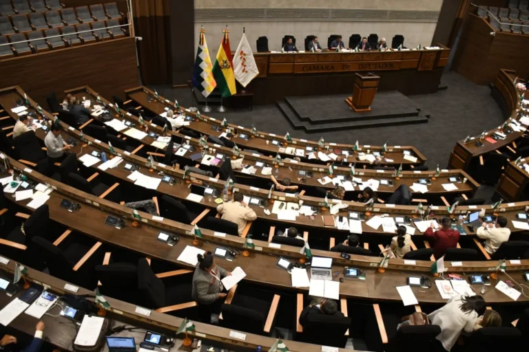 Diputados aprueba en grande y detalle crédito de $us 1.900 millones del FMI