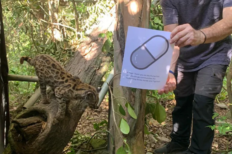 Senda Verde, el hogar del tilcayo, celebra más de $us 100.000 en donaciones