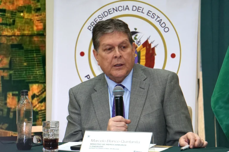 Qué dejó el primer mes de intervención a la ANH, explicado