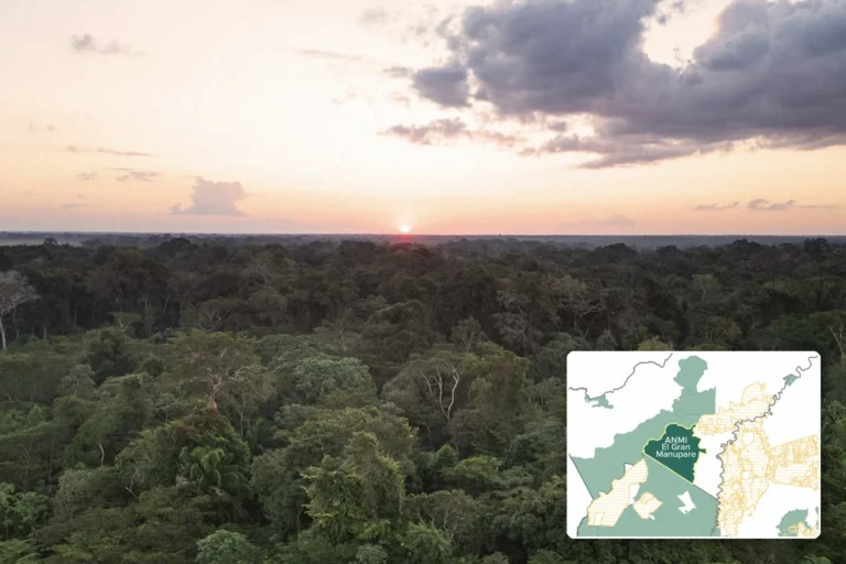 Amazonía de Pando: un municipio anuló un área protegida de 452.639 hectáreas
